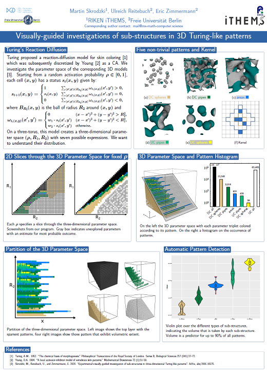 Poster: Visually-guided investigations of sub-structures in 3D Turing-like patterns